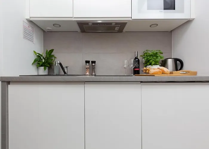 Kasprzaka By Renters *