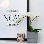 Kasprzaka By Renters * Βαρσοβία
